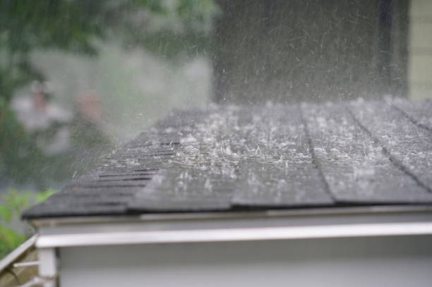 Best Gutter Installation and Repair  in Montana City, MT